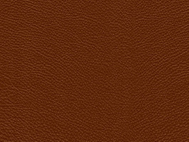 Importer leather 79 PRIMP COLLECTION 系列 真皮 牛皮 沙發皮革 7952 咖啡色